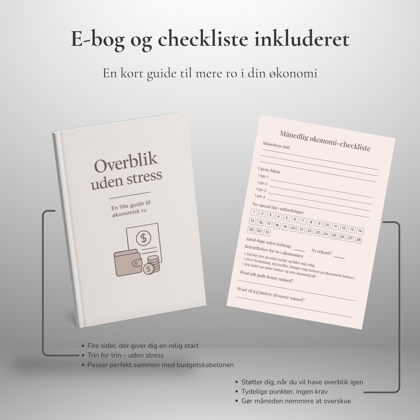 LumeNote Budgetpakke - Til din daglige økonomi