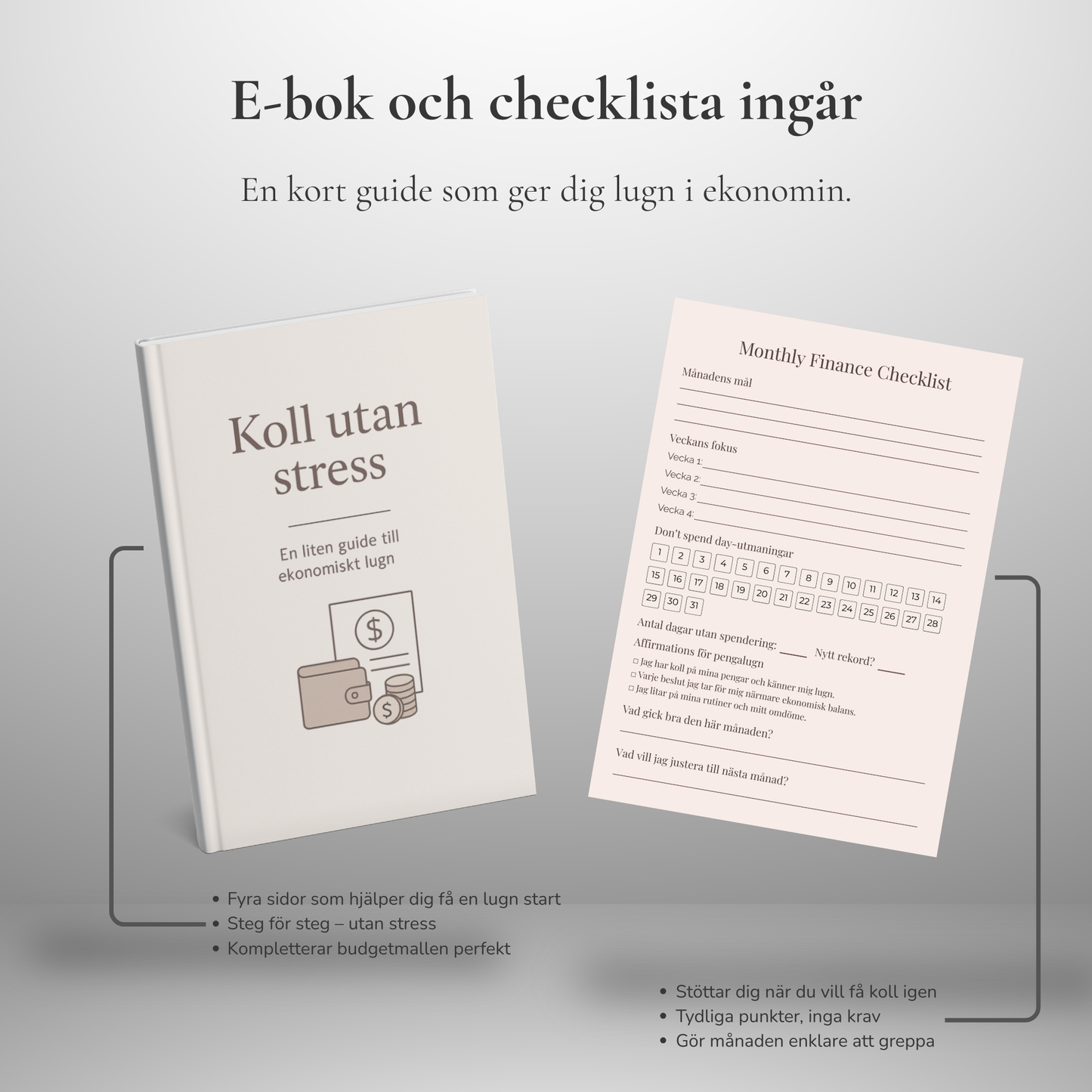 Psorted Budgetpaket – För din vardagsekonomi