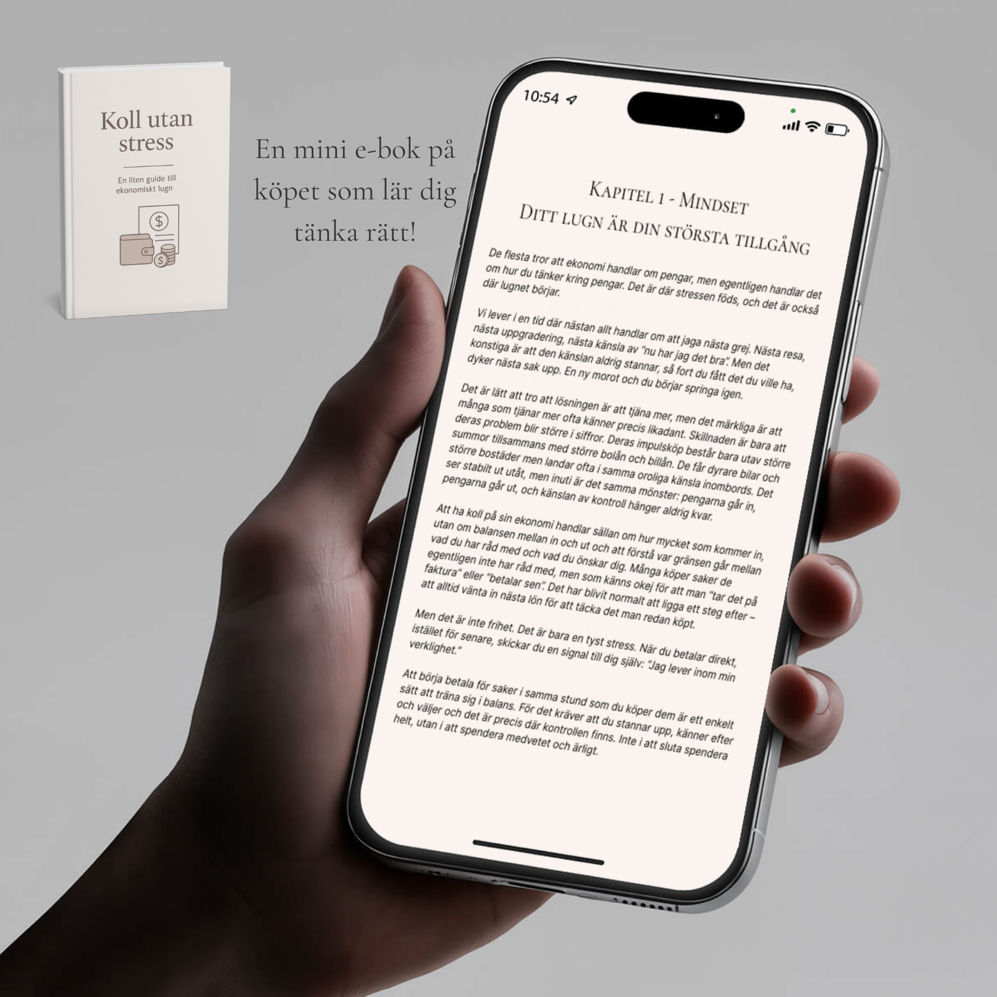 Psorted Budgetpaket – För din vardagsekonomi