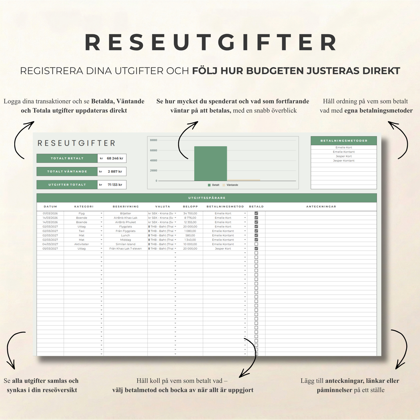 Psorted Annual Budget - Collect the year in one place