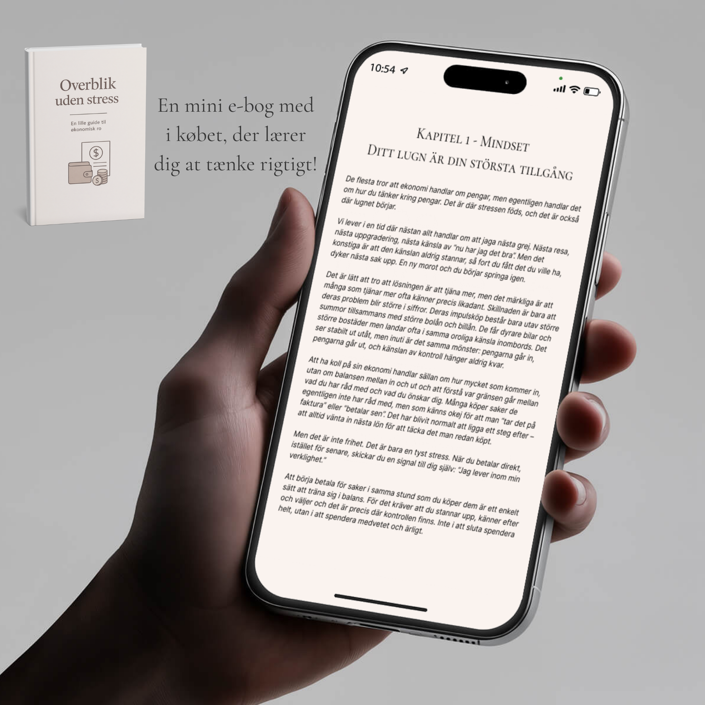 LumeNote Budgetpakke - Til din daglige økonomi