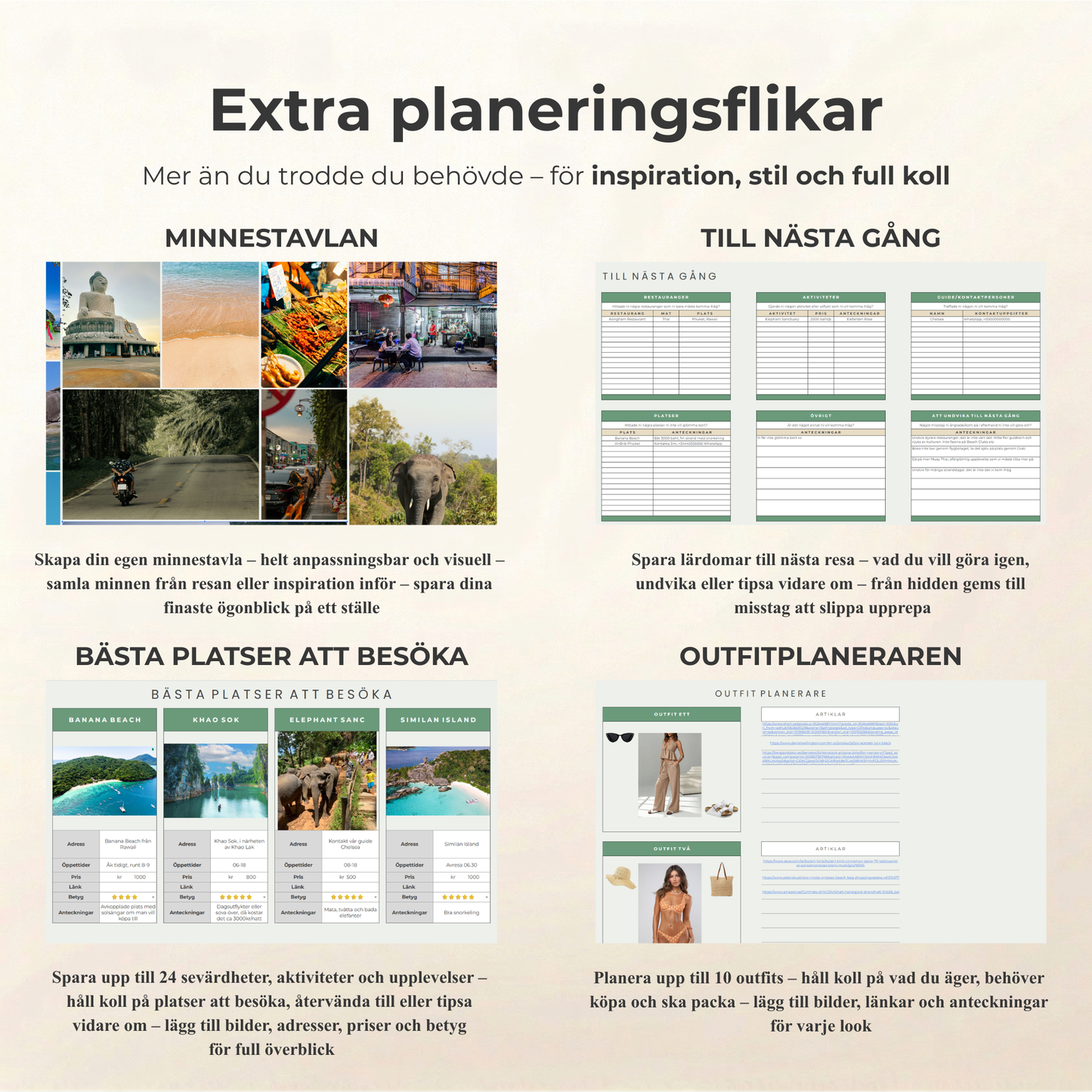 Psorted Annual Budget - Collect the year in one place